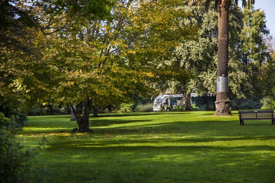 Melbourne: Melbourne Gardens Explorer Minibus Tour - A 30-minute garden orientation that doesn’t feel rushed