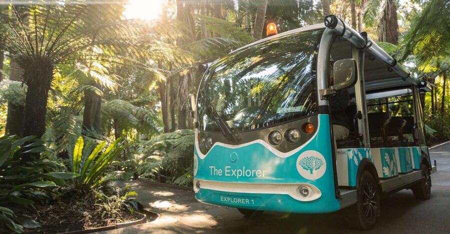 Melbourne: Melbourne Gardens Explorer Minibus Tour - From the meeting area into Melbourne Gardens: where the tour starts