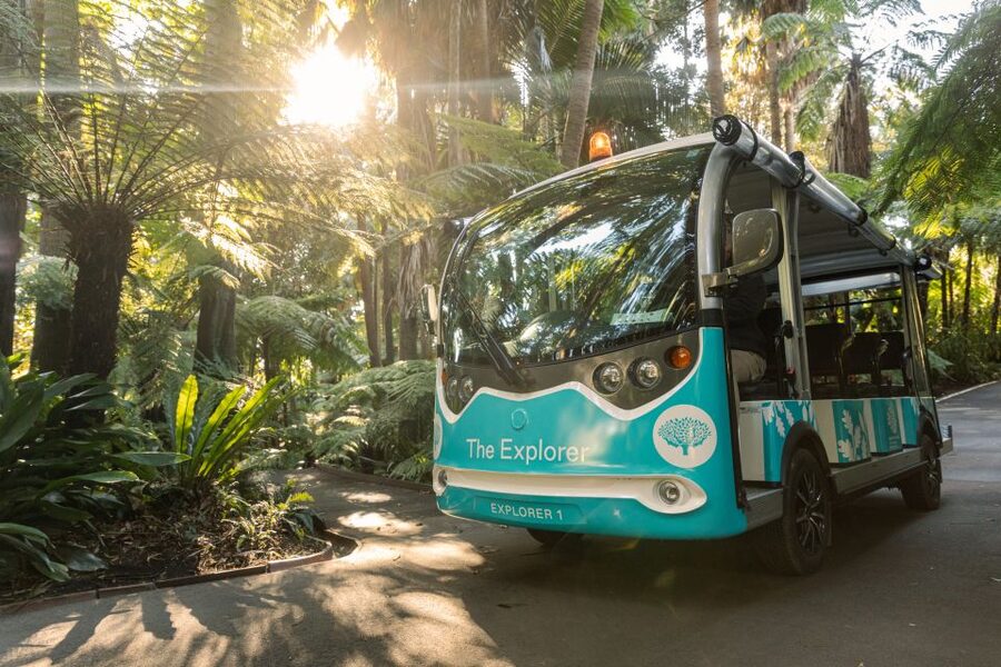 Melbourne: Melbourne Gardens Explorer Minibus Tour - Ornamental lake wildlife: waterbirds and frogs at the right time of day