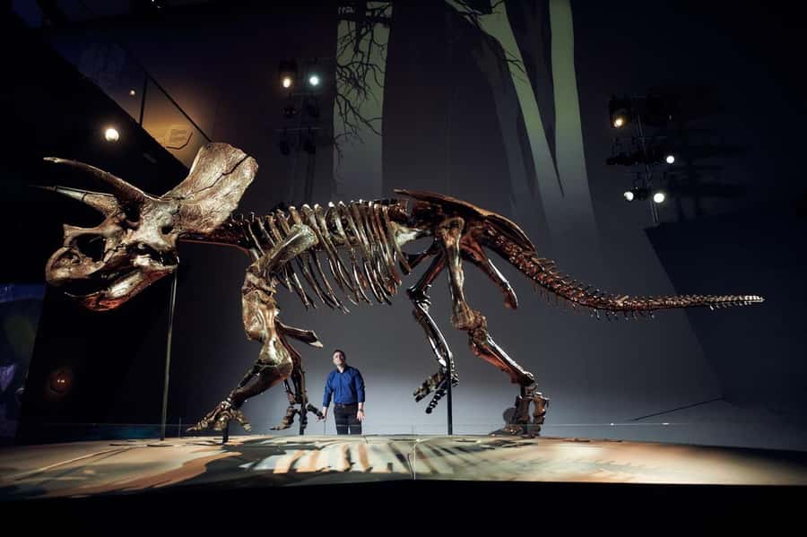 Melbourne: Melbourne Museum Entry Ticket - Your best visit window: how long to plan