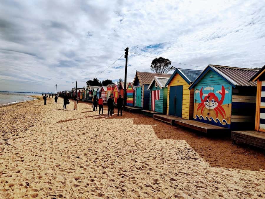 Melbourne: Moonlit Sanctuary and Brighton Beach Boxes Tour - Small Group (Up to 11): Why It Feels Easier Than Bigger Tours