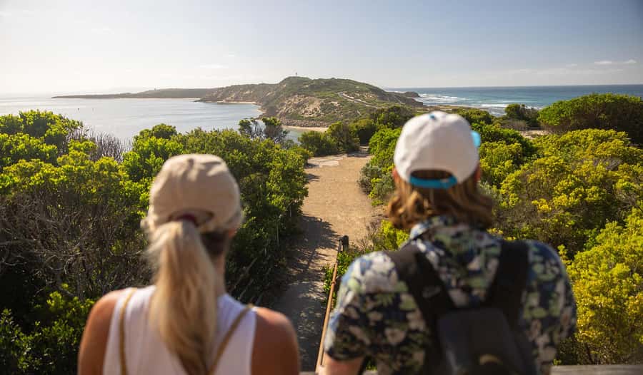 Melbourne: Mornington Peninsula Southern Coast Discovery - Quick hits: why this tour works