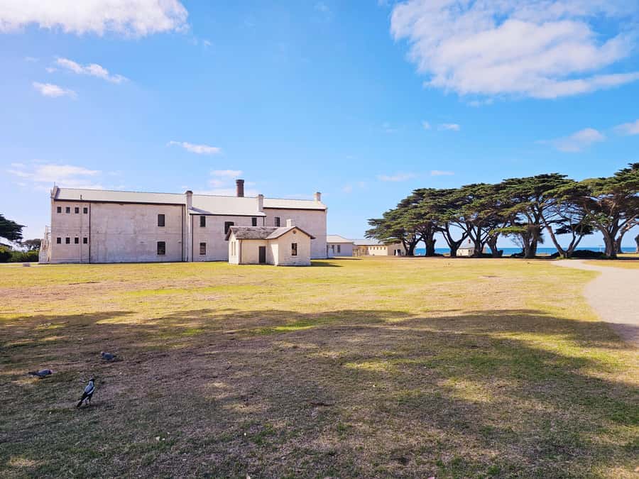 Melbourne: Mornington Peninsula Southern Coast Discovery - Arthur’s Seat: short guided walk, big view over Port Phillip Bay