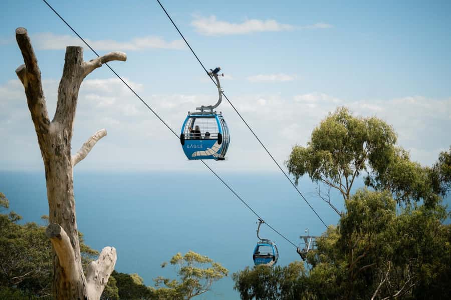 Melbourne: Mornington Peninsula Southern Coast Discovery - Cape-to-town contrast: the Sorrento break and Sorrento Sipper
