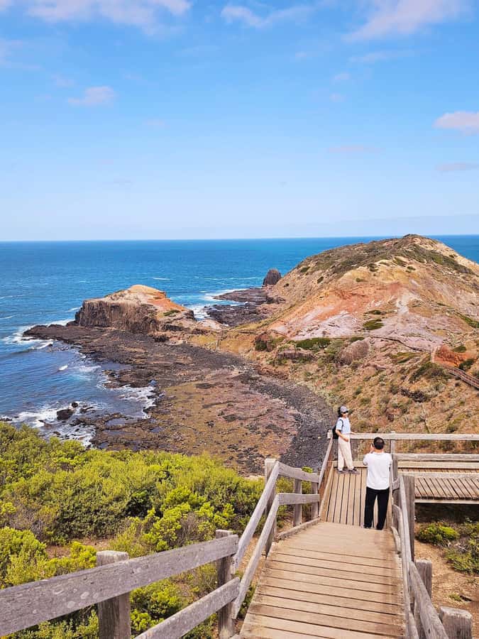 Melbourne: Mornington Peninsula Southern Coast Discovery - Value for $88: what you get that saves money and stress