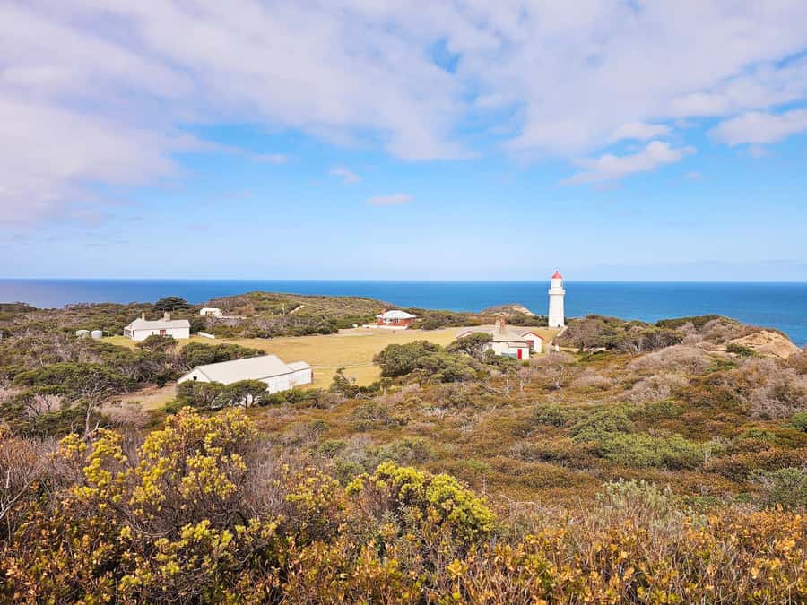 Melbourne: Mornington Peninsula Southern Coast Discovery - Who this tour suits (and who should consider something else)