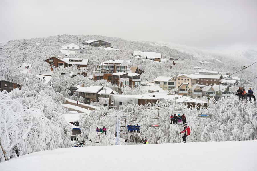 Melbourne: Mt Buller Snow Tour-Save on Hire & True 5 Hrs Fun - Price and Logistics: What the $63 Really Covers
