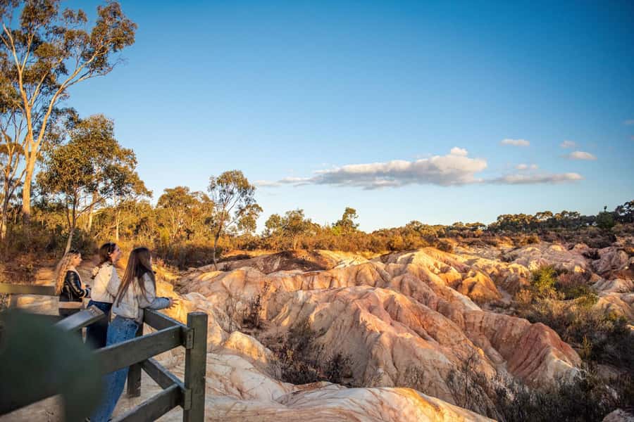 Melbourne: Murray River Paddle Steamer, Wildlife & Silo Art - Heritage Paddle Steamer on the Murray River: Classic Red Gum Views