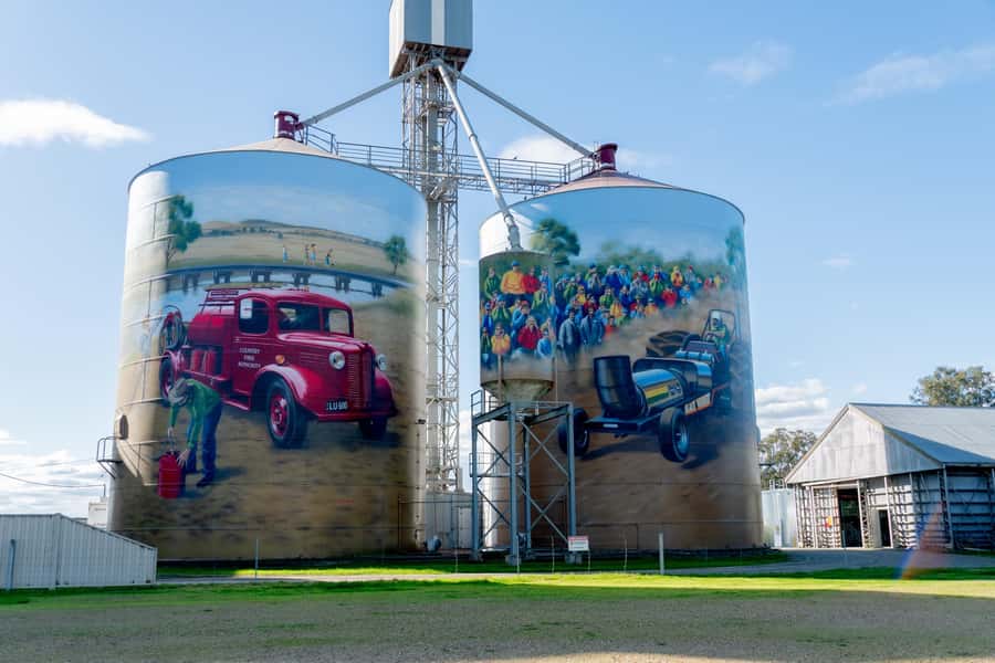 Melbourne: Murray River Paddle Steamer, Wildlife & Silo Art - Echuca Break Time: Plan for Lunch and a Short Stroll