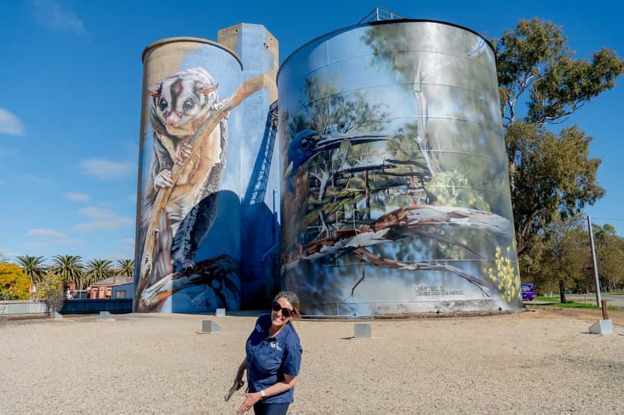 Melbourne: Murray River Paddle Steamer, Wildlife & Silo Art - Rochester Silo Art: Big Murals, Short Photo Sessions
