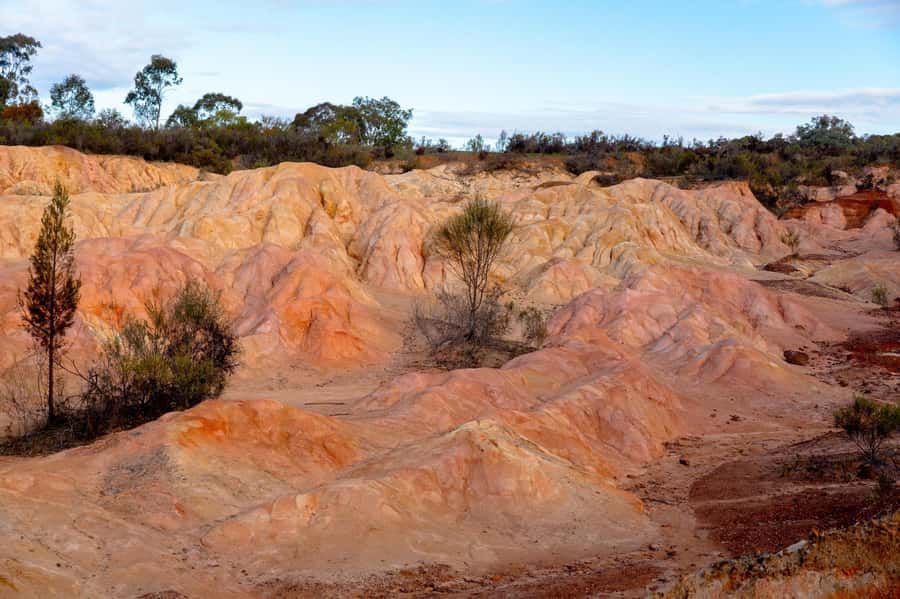 Melbourne: Murray River Paddle Steamer, Wildlife & Silo Art - Price and What You Get for $119
