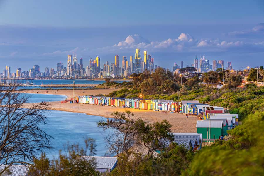 Melbourne: Penguin Parade , Koala & Brighton Bathing Boxes - Why this Melbourne-to-Phillip Island day plan works
