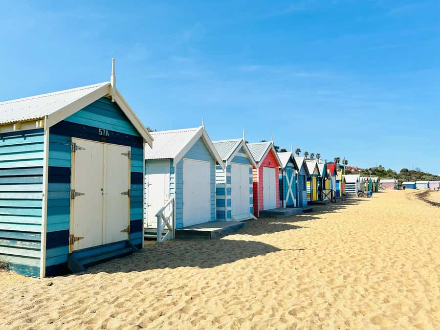 Melbourne: Penguin Parade & Phillip Island Scenic Day Tour - Who this tour is best for, and who should skip it