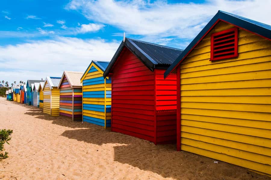 Melbourne: Penguin Parade Tour with Puffing Billy Train Ride - The optional Maru Koala and Animal Park stop: worth it or extra?