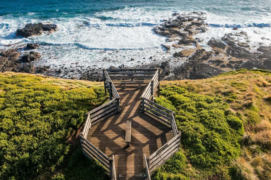 Melbourne: Penguin Parade Tour with Puffing Billy Train Ride - Dinner on your own: the part that can add stress