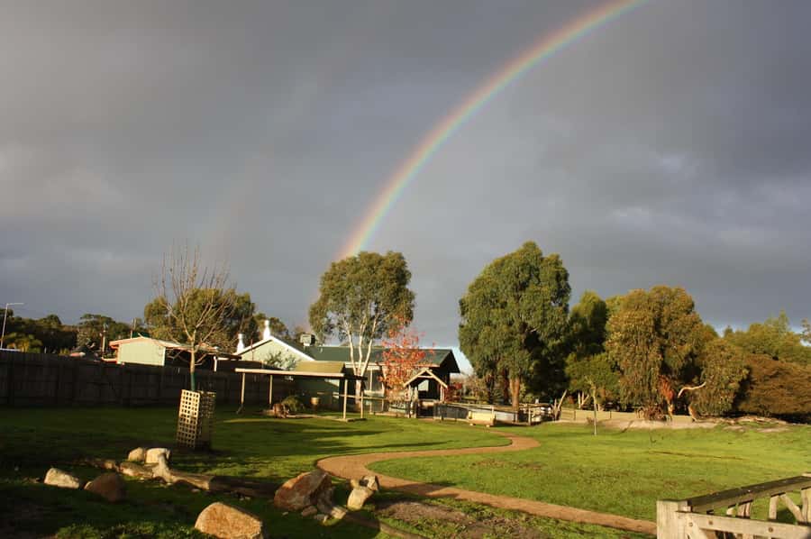 Melbourne: Penguin Parade Tour with Puffing Billy Train Ride - Who this tour suits best