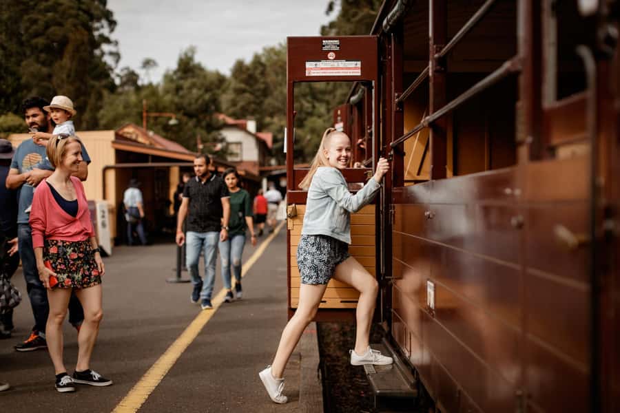 Melbourne: Penguin Parade Tour with Puffing Billy Train Ride - Puffing Billy through the Dandenong Ranges: the main event