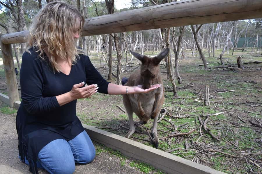 Melbourne: Peninsula Nature Private Day Trip with Dinner - Key Things I’d Mark on Your Mental Map