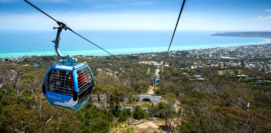 Melbourne: Peninsula Nature Private Day Trip with Dinner - Guide Quality and the VIP Feeling