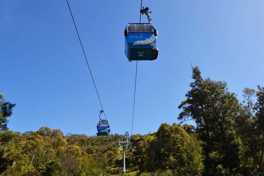 Melbourne: Peninsula Sightseeing Driving Day Tour - Arthurs Seat lookouts: big views, small time window