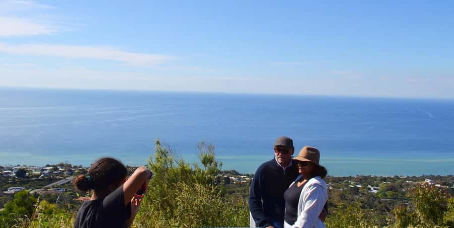 Melbourne: Peninsula Sightseeing Driving Day Tour - Price and value: what $176 gets you in real terms