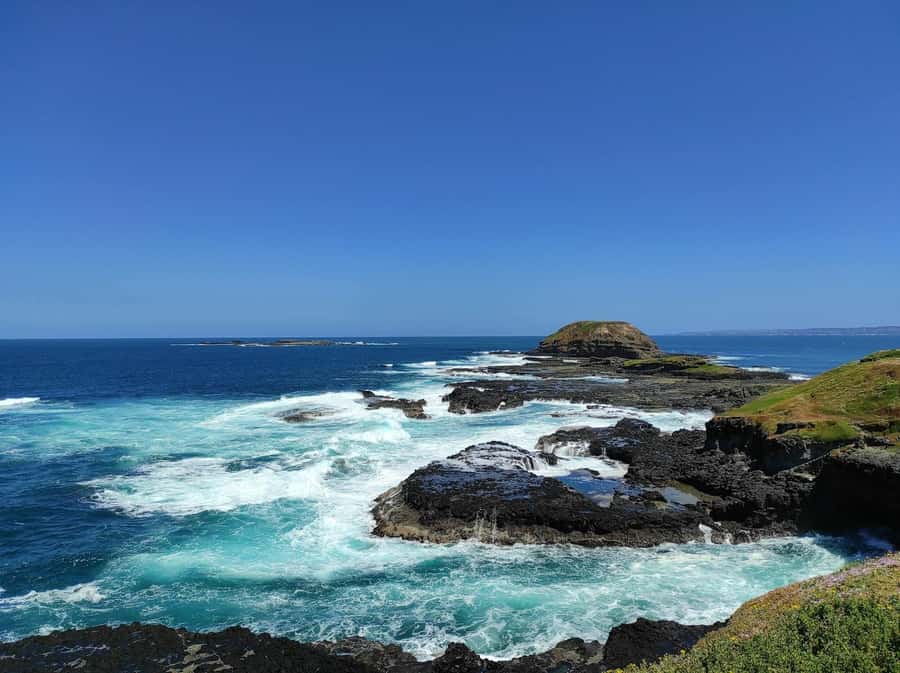 Melbourne: Phillip Island Penguin Parade Watching Day Tour - Tips That Make the Day Run Smoother