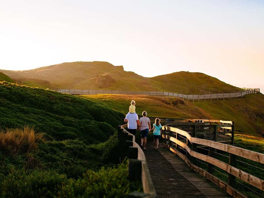 Melbourne: Phillip Island Private Trip, Penguin and Wildlife - Pickup, drop-off, and the group setup that keeps things calm