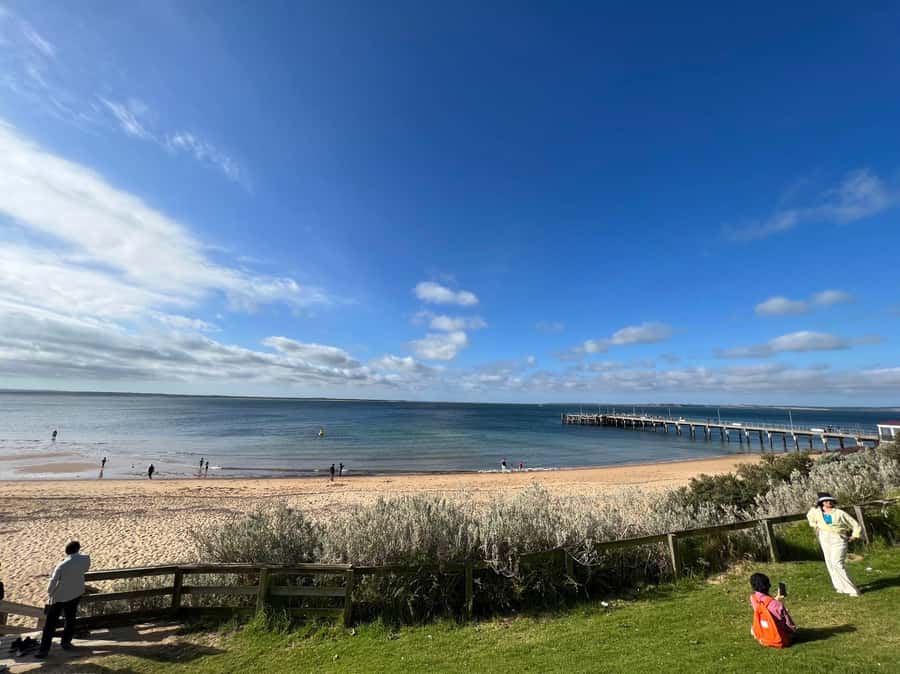 Melbourne: Phillip Island Private Trip, Penguin and Wildlife - Nobbies Centre and Seal Rocks: ocean drama plus fur-seal territory