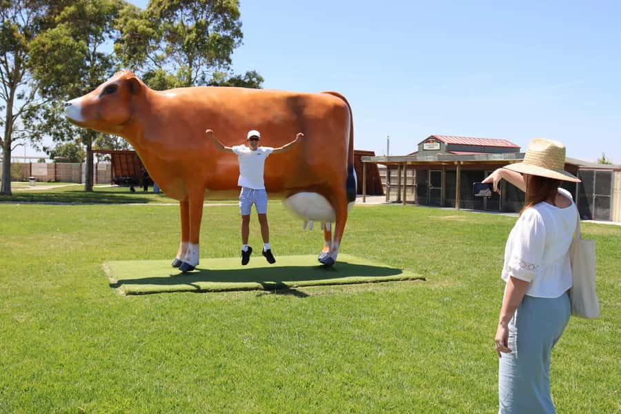 Melbourne：Phillip Island Tour 1 Day Tour - Cowes: a short northern-tip break with coast views