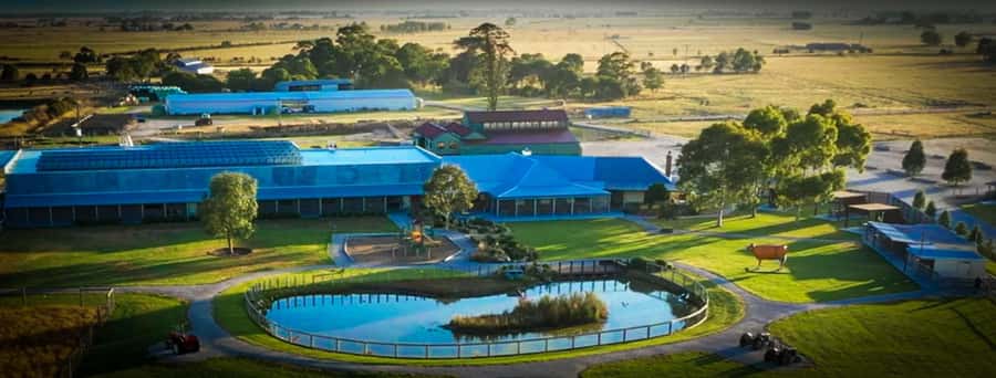 Melbourne：Phillip Island Tour 1 Day Tour - Summerland Beach and the Penguin Parade: the sunset moment