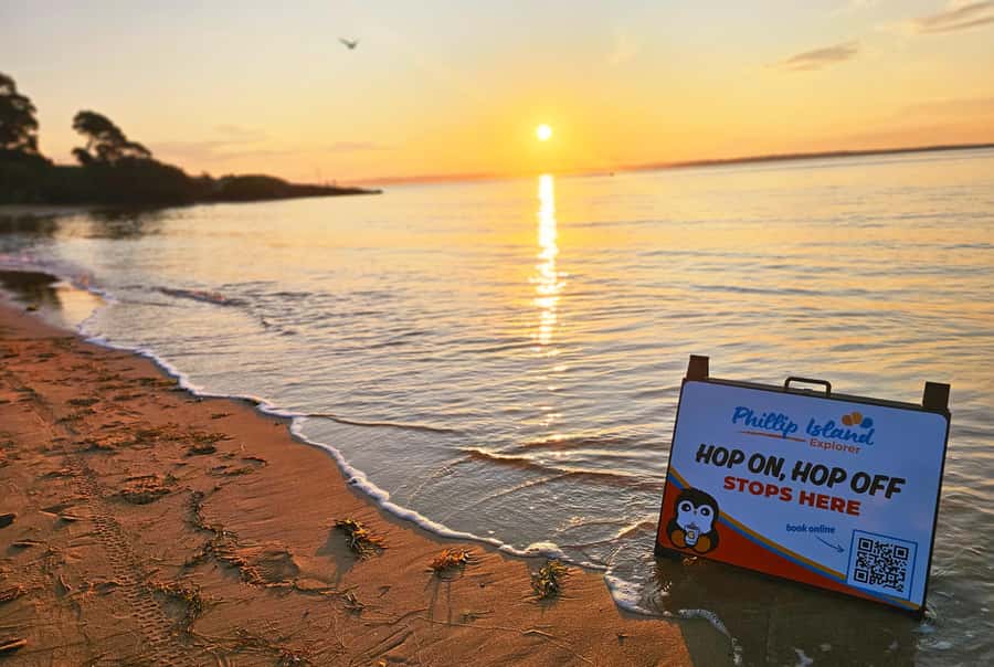 Melbourne: Phillip Island Tour w/ Hop-on Bus or Seal Cruise - The Nobbies Centre at golden hour: boardwalk views with a drink in hand