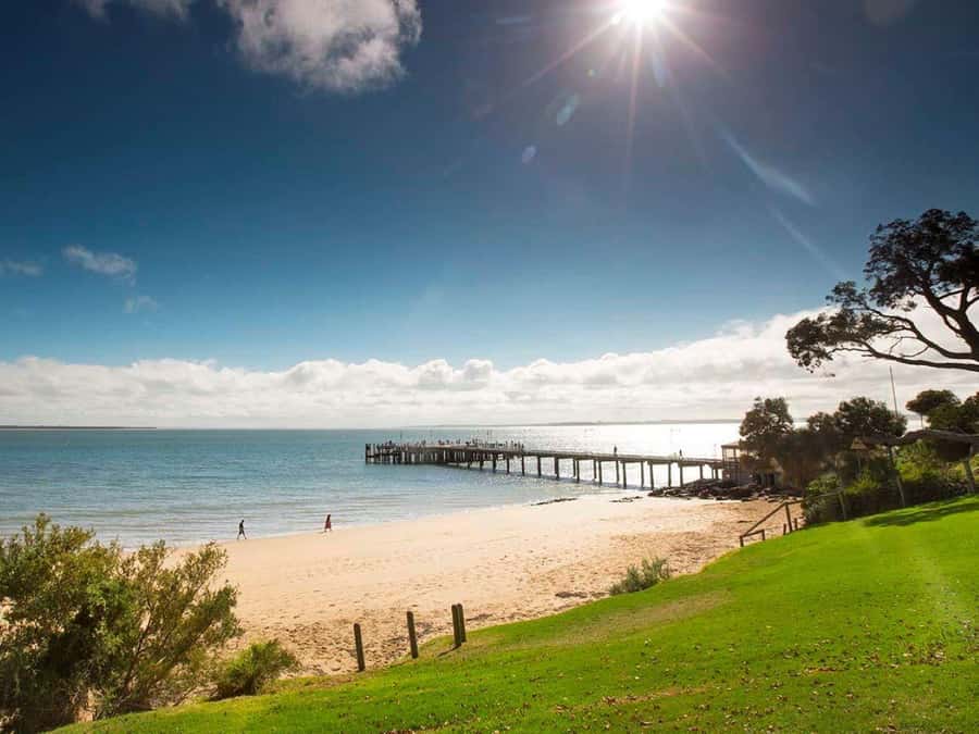 Melbourne: Phillip Island Tour w/ Hop-on Bus or Seal Cruise - Price and value: is $116 a good deal for Phillip Island?
