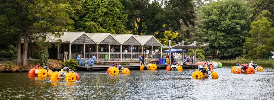 Melbourne: Puffing Billy & Healesville Sanctuary Scenic Tour - Who this tour is perfect for (and who should think twice)