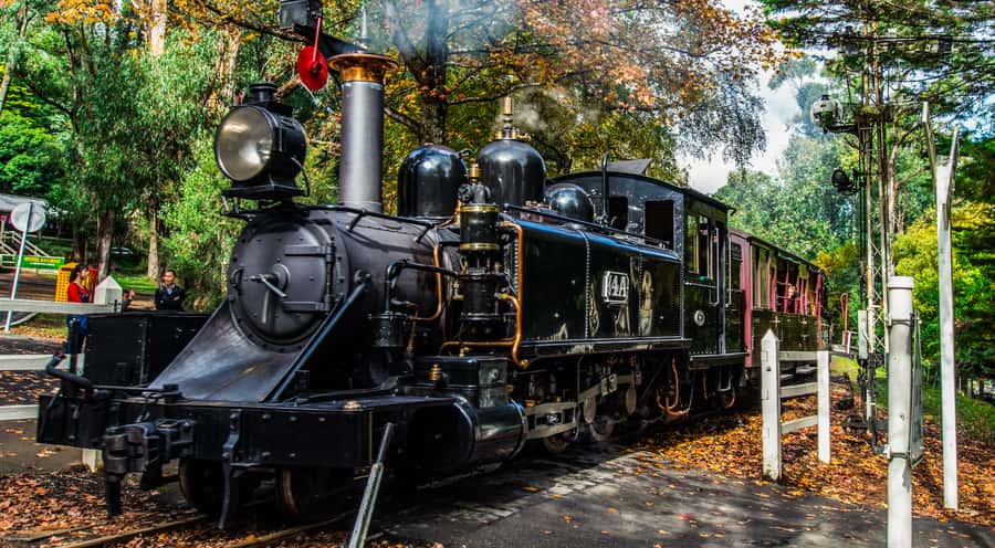 Melbourne: Puffing Billy & Healesville Sanctuary Scenic Tour - Should you book Puffing Billy and Healesville today?