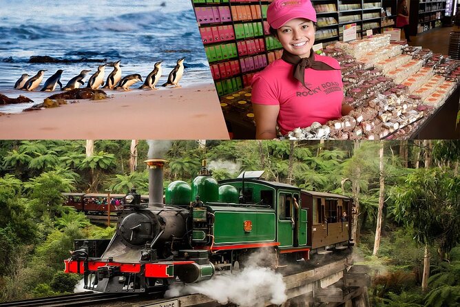 Melbourne Puffing Billy Penguin wine choc(16 max) Hotel Pick Up - Key points before you go