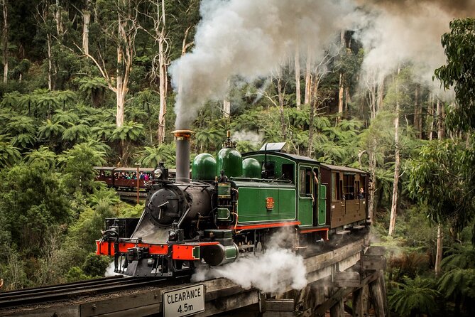 Melbourne Puffing Billy Penguin wine choc(16 max) Hotel Pick Up - Yarra Valley Chocolaterie & Ice Creamery: sweet stop with real time to enjoy it