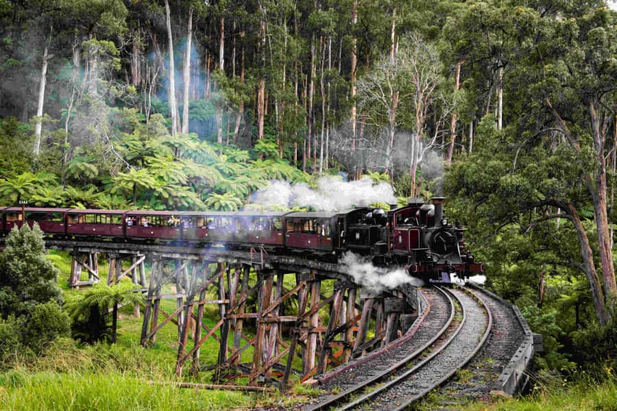 Melbourne: Puffing Billy Railway & Penguin Parade Day Tour - Getting From Melbourne: Pickup, Coach Time, and How the Day Stays on Track