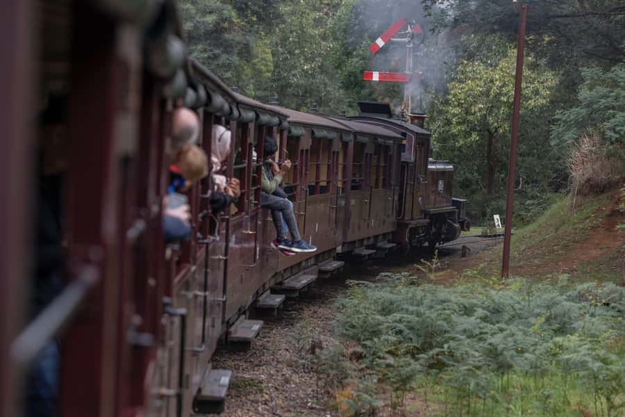 Melbourne: Puffing Billy Railway & Penguin Parade Day Tour - Price and Value: Is $145 a Good Deal?