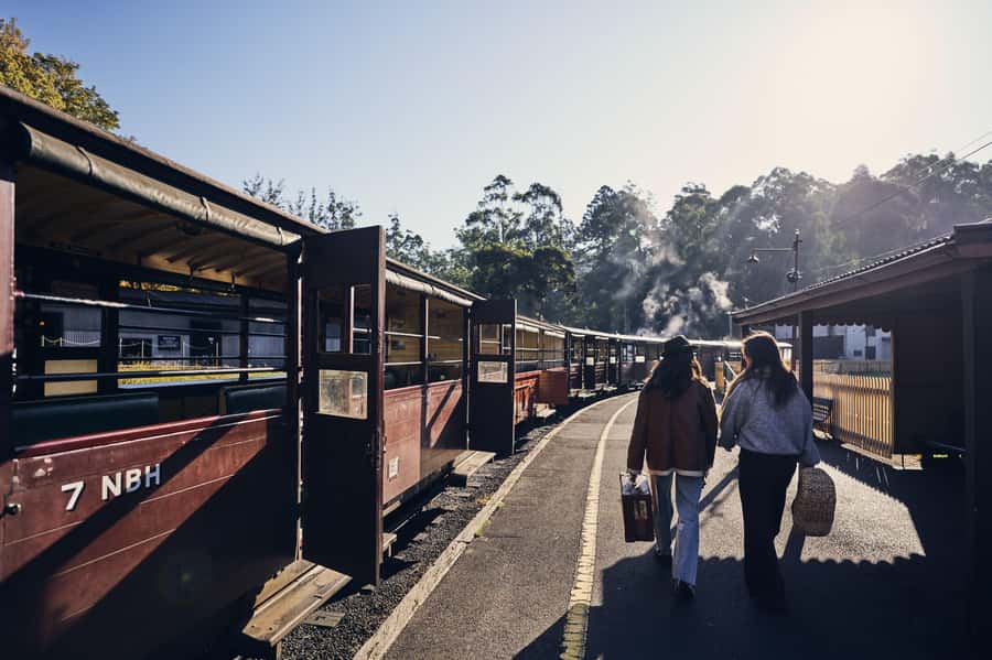 Melbourne: Puffing Billy Railway & Rainforest Tour - Key Highlights Worth Planning For