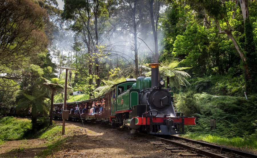 Melbourne: Puffing Billy Railway & Rainforest Tour - Value and Comfort: Is It Worth $107?