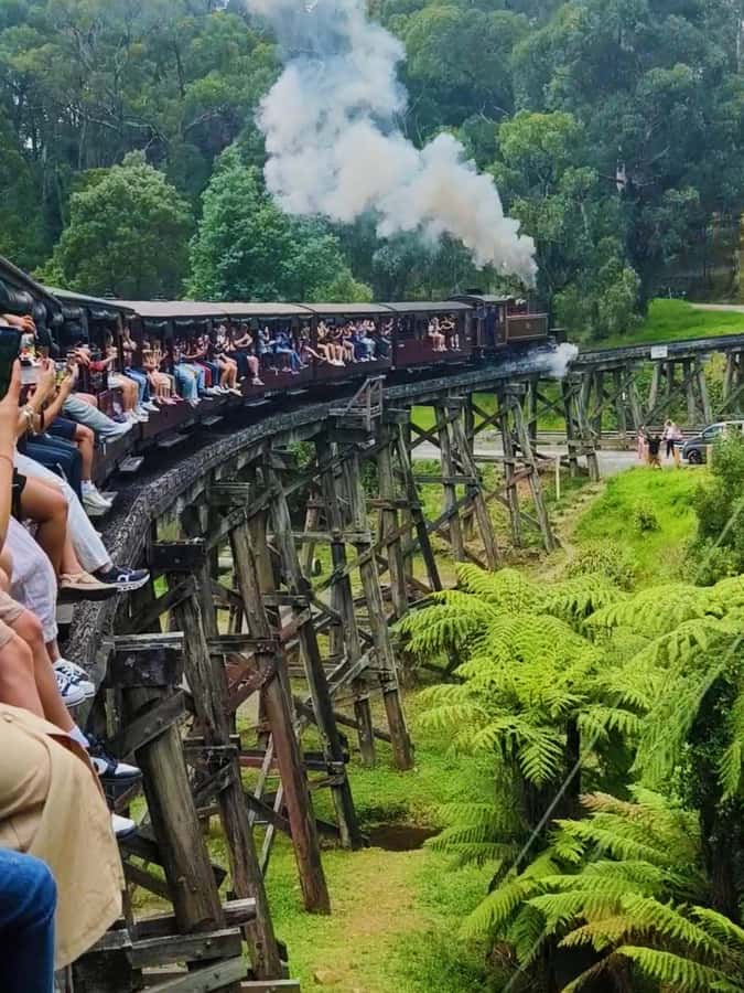 Melbourne: Puffing Billy Train and Penguin Island Day Tour - Key takeaways before you go
