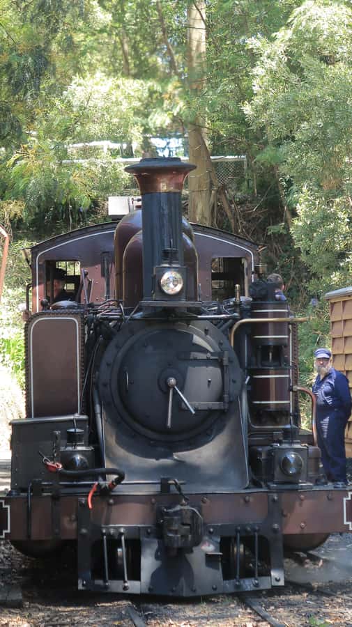 Melbourne: Puffing Billy Train and Penguin Island Day Tour - Getting to the Rail and Back: Pickup, Coach Timing, and How 14 Hours Feels