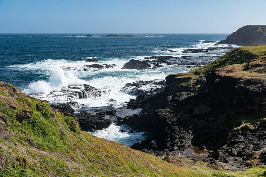 Melbourne: Puffing Billy Train & Penguin Island Excursion - The Nobbies Viewpoint and the coast: quick, scenic, and useful