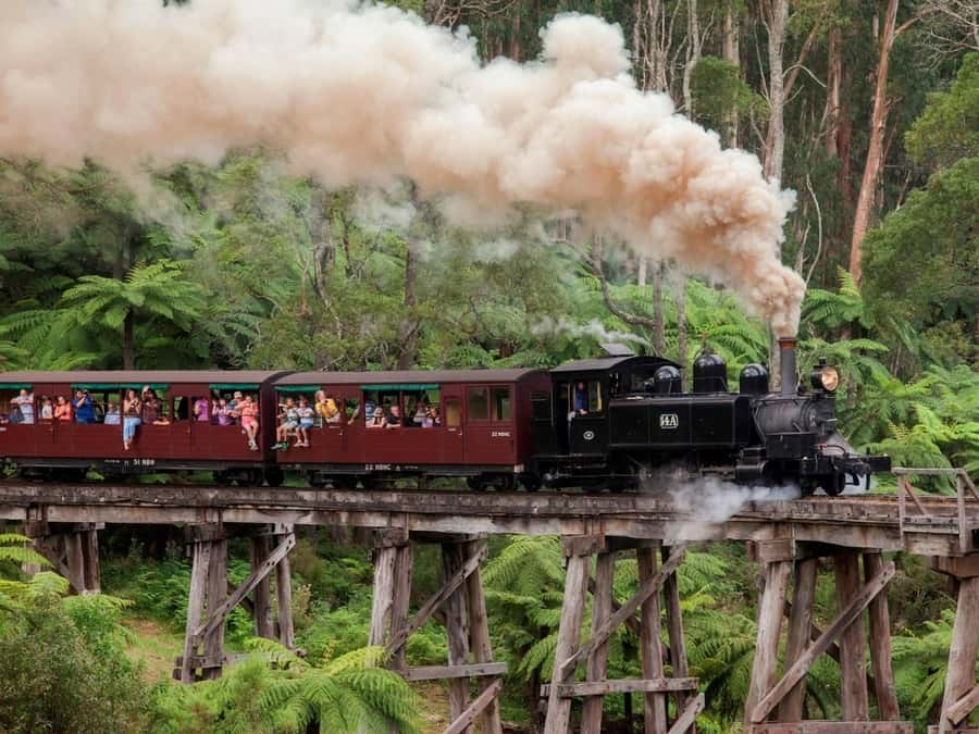 Melbourne: Puffing Billy Train Wildlife Zoo Private Tour - The format that makes this day trip work: private transport + two “must-dos”