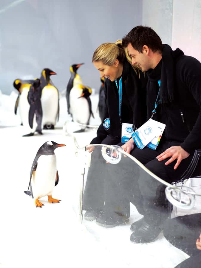 Melbourne: SEA LIFE Aquarium Entrance Ticket - Key highlights worth circling before you go