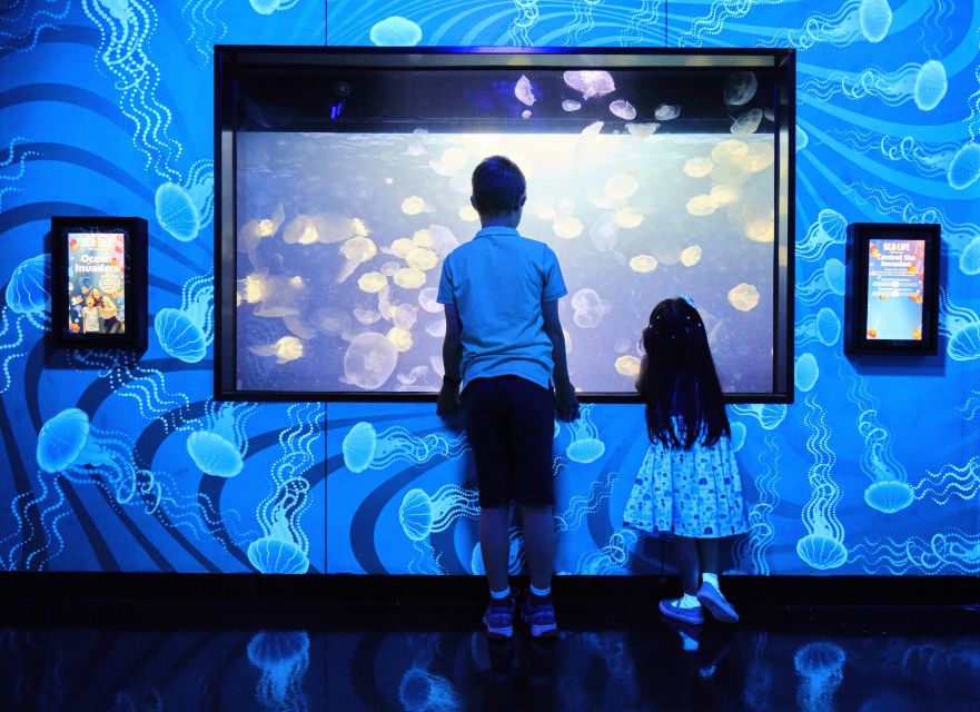 Melbourne: SEA LIFE Aquarium Entrance Ticket - Ocean Invaders and the 2.2 million liter Oceanarium