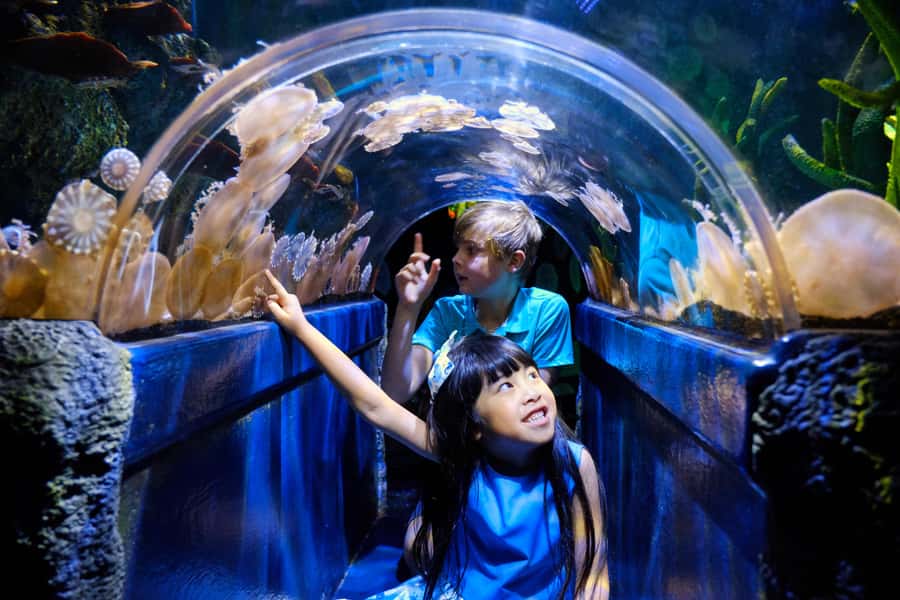 Melbourne: SEA LIFE Aquarium Entrance Ticket - Finding the aquarium: Flinders Street and King Street, right by the Yarra