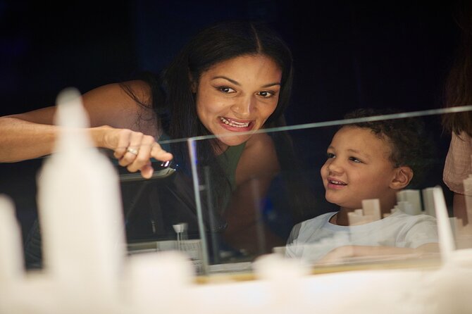 Melbourne Skydeck General Admission Ticket - Fast Lift to Level 88: What Your Visit Feels Like