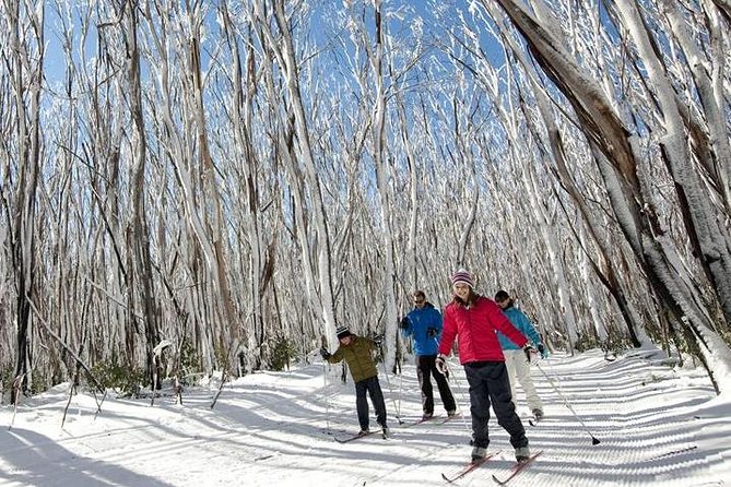 Melbourne Snow Trip to Lake Mountain with Chocolates & Waterfalls - Coach timing, stops, and the “don’t-get-burned” planning tips