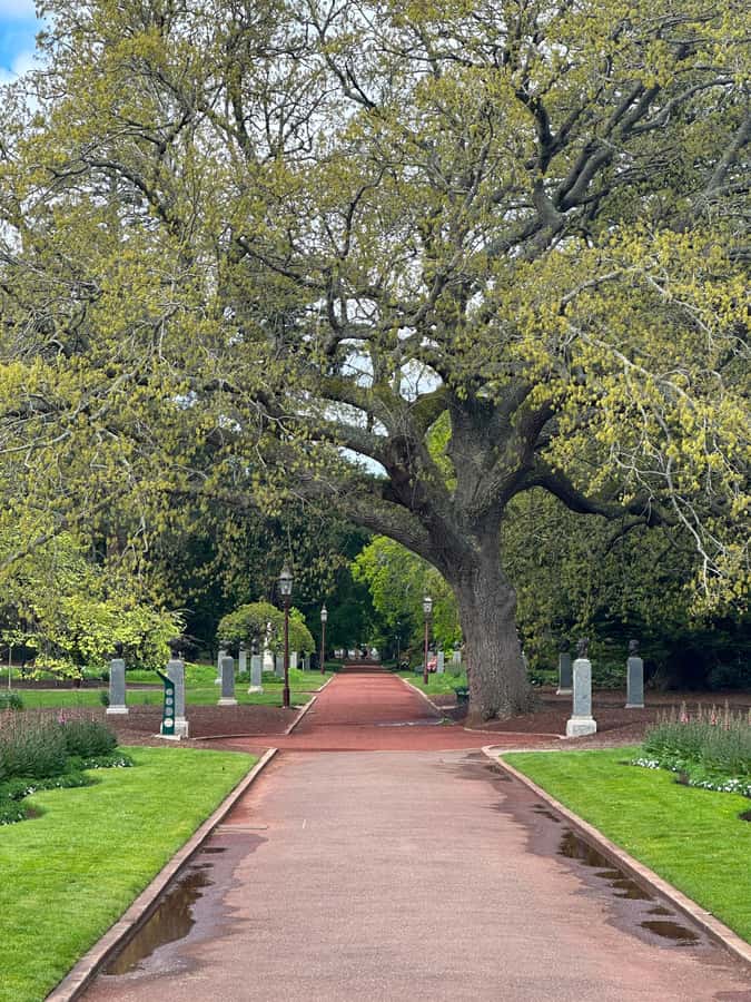 Melbourne: Sovereign Hill, Eureka Centre & Melbourne Skydeck - Should you book this Melbourne to Ballarat Gold Rush day trip?